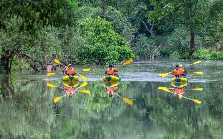 Transformative Progress in Bastar: A New Era Under Chief Minister Vishnu Deo Sai