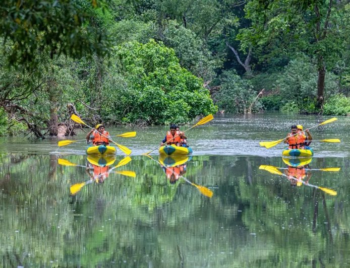Transformative Progress in Bastar: A New Era Under Chief Minister Vishnu Deo Sai