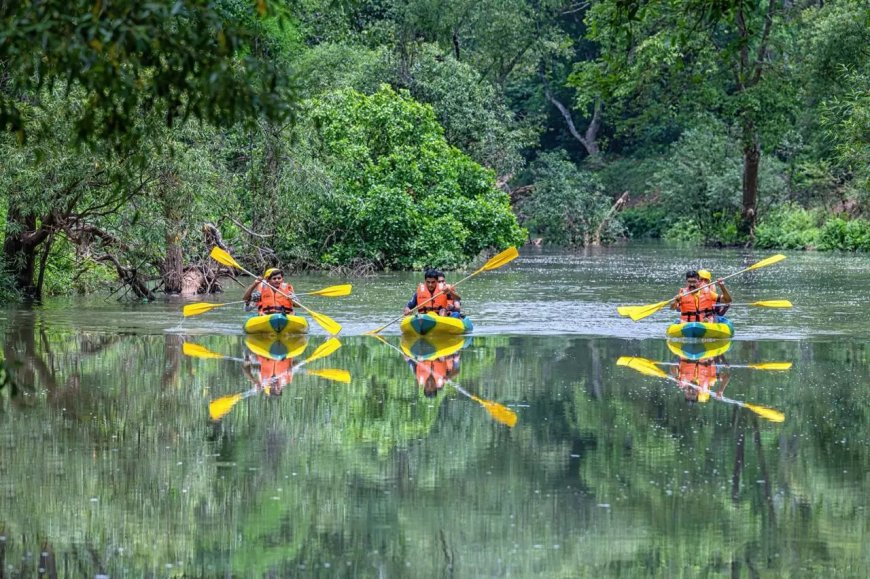 Transformative Progress in Bastar: A New Era Under Chief Minister Vishnu Deo Sai